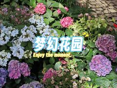 -沈阳植物园