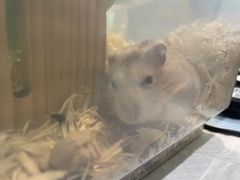 -雨林宠物医院 非犬猫异宠专科