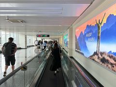 -石家庄正定国际机场-T2航站楼