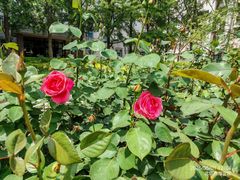 -首都师范大学图书馆(北校区)