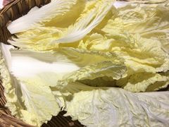 大白菜-重庆渝达老火锅(春熙路店)