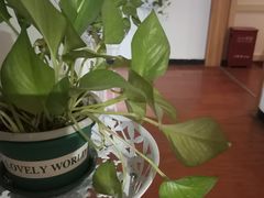 -养心阁足道馆(火宫殿一店)