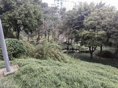 -艾坪山公园