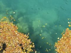 -叠溪松坪沟景区