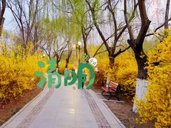 -南翠屏公园