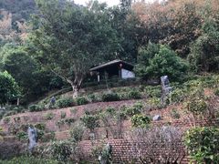 -英德宝晶宫天鹅湖茶语温泉