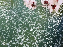 -三里河公园