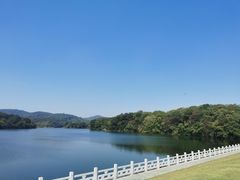 -佛手湖郊野公园