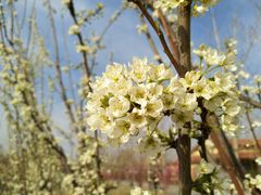 -意大利农场度假村