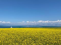 -青海湖国家重点风景名胜区