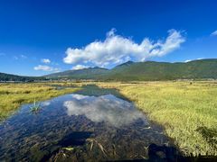 -腾冲北海湿地