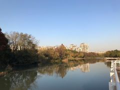 -新江湾城公园