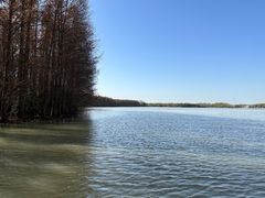 -上海海湾国家森林公园
