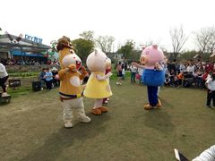 -田园东方蜜桃村的田野营地