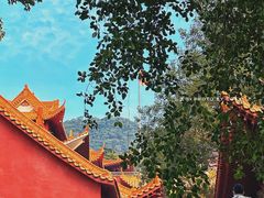 -深圳仙湖植物园