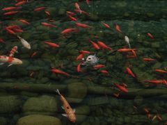 -活水公园