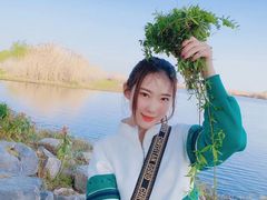 -合肥滨湖国家森林公园