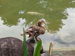 -广州神农草堂中医药博物馆