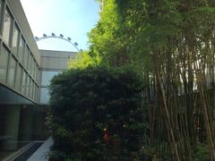 -新加坡丽思卡尔顿美年酒店