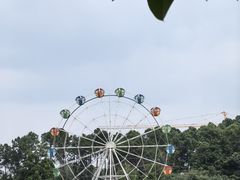 -森波拉奇妙世界