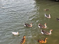 -海珠湖公园