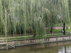 -元大都城垣遗址公园