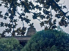-法门文化景区