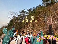 -千岛湖天屿景区