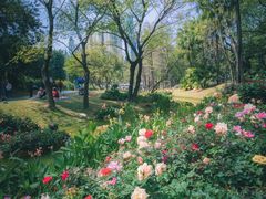 -人民公园(罗湖区)