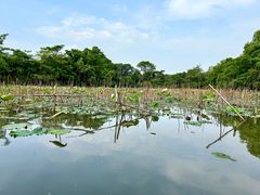 -西溪国家湿地公园