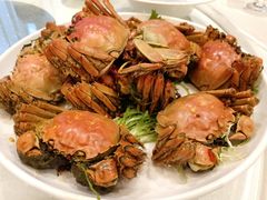 -欣旺·迎宾楼·百年无锡菜