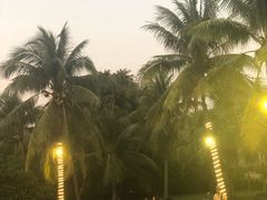 -亚龙湾喜来登·美景台大堂吧