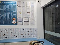 -守诺宠物医院·眼科· 神经外科·爬宠专科(虹口店)