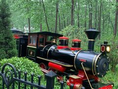 -合肥滨湖国家森林公园