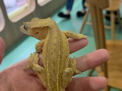 -藦茜花园宠物主题亲子互动体验馆(国顺东路店)