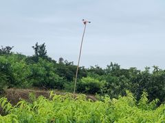 -桃源山庄·水蜜桃采摘·柴火鸡·烧烤团建(龙泉山店)