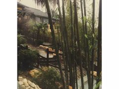 -崇阳三特浪口温泉