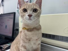 -心仪动物医院·牙专科·肿瘤·心脏科(西客站院)