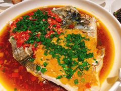剁椒鸳鸯鱼头-玫瑰厅上海菜(兴国路店)
