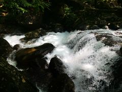 -白云源风景区