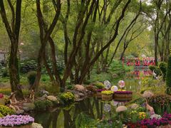 -上海共青森林公园