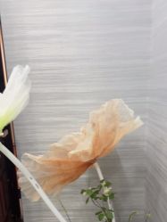 -武汉五洲整形外科医院