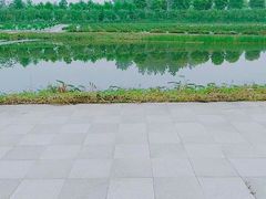 -扬州芍药园(仪征市)