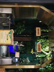 -未来动物城主题公园(正弘城店)