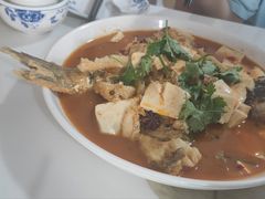 -煲来饱去冷水鱼