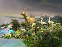 -湖南省地质博物馆