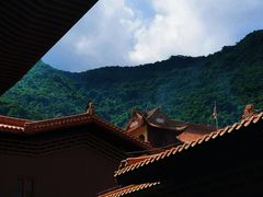 -深圳仙湖植物园-停车场
