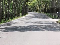 景点-上海海湾国家森林公园