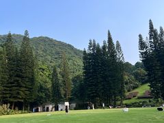 -深圳仙湖植物园
