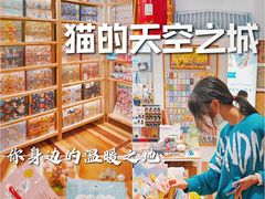 -猫的天空之城概念书店(印象城购物中心店)
